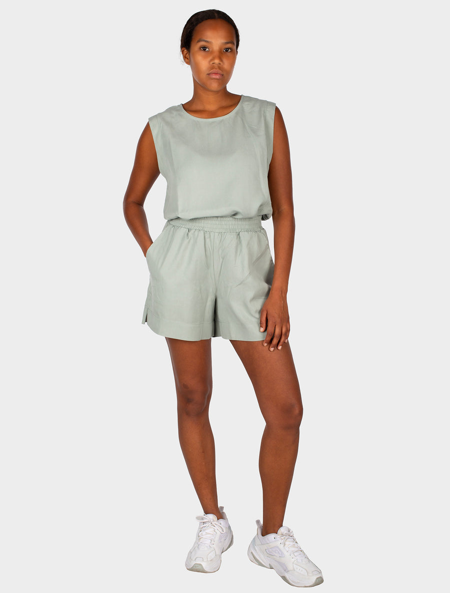 Iriedaily Tenca Shorts sage